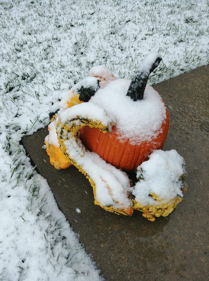 Snow, 10/14